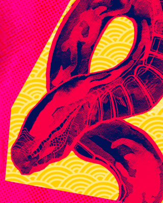 posterized image of a snake
