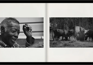 photo of an open book displaying two black and white photos, one of an older Black farmer with a scar on his head, the other of cows in a field